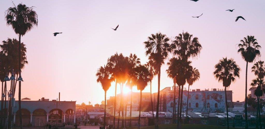 Venice Beach Snata Monica