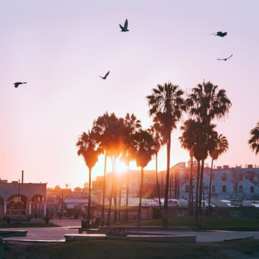 Venice Beach Snata Monica