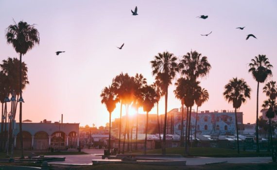 Venice Beach Snata Monica