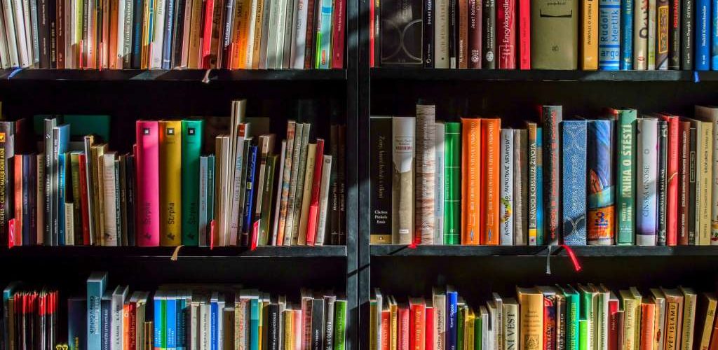 Bücher Minimalismus Challenge