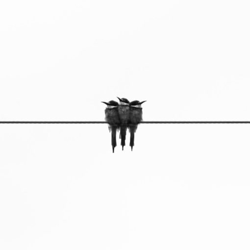 Unbekannte Minimalismus Zitate
