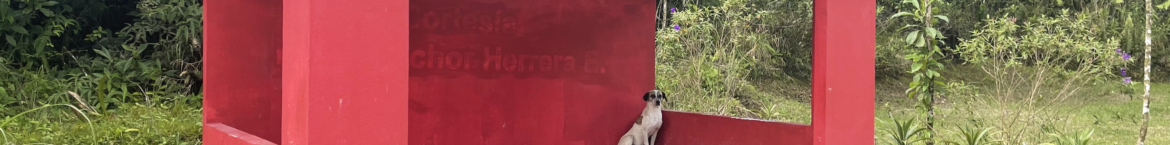 Bushaltestelle El Valle Santa Catalina